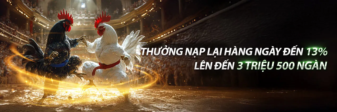 Đá gà Philippin tại fun97
